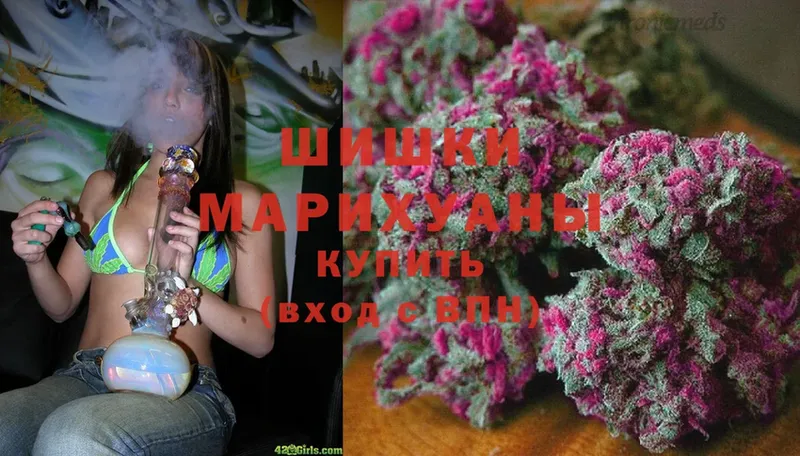 Канабис White Widow  Отрадная 